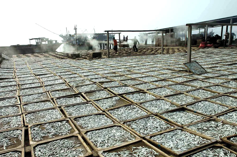 Lam con ca duoi-10.jpg