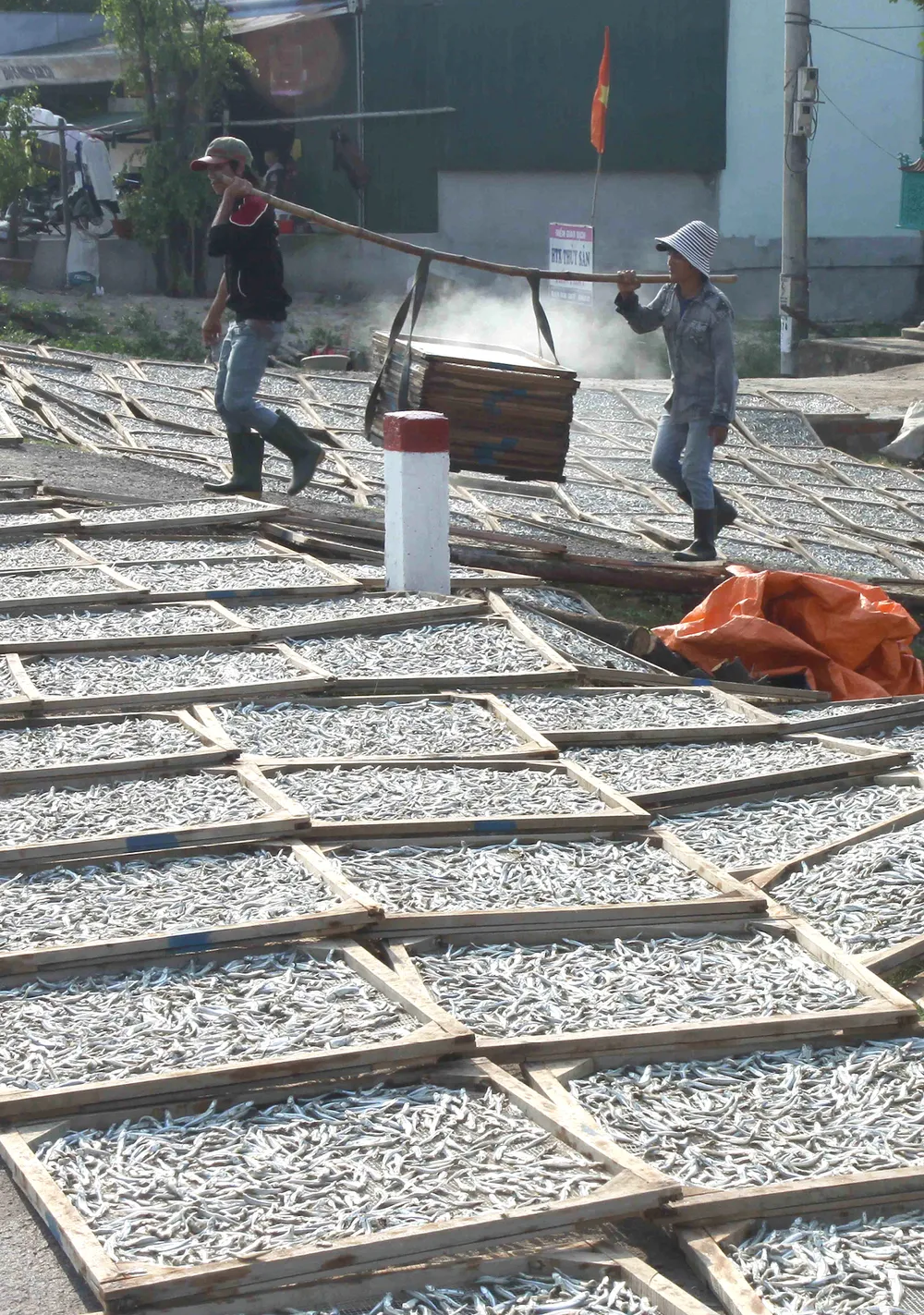 Lam con ca duoi-11.jpg