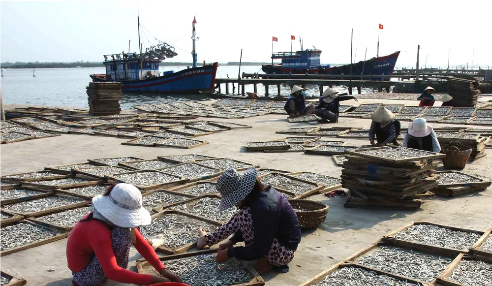 Lam con ca duoi-12.jpg