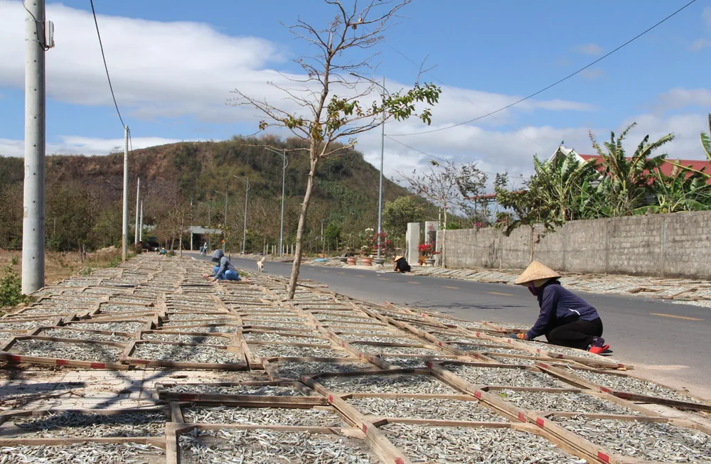 Lam con ca duoi-14.jpg