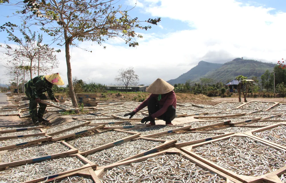 Lam con ca duoi-16.jpg