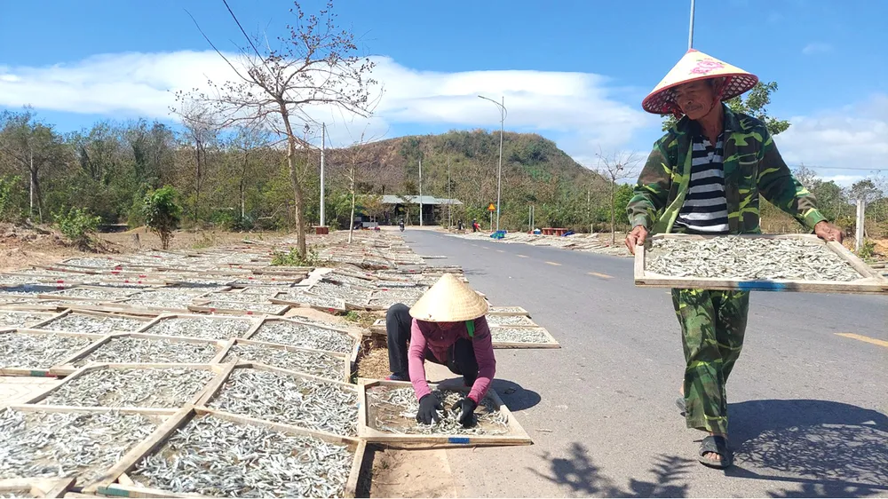 Lam con ca duoi-17.jpg