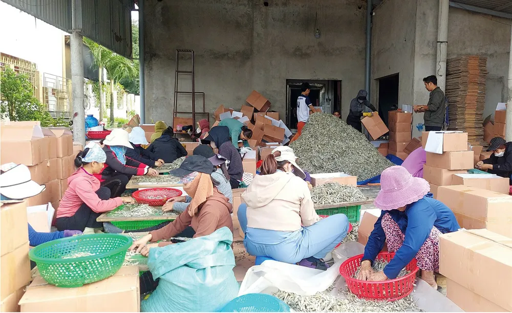 Lam con ca duoi-18.jpg