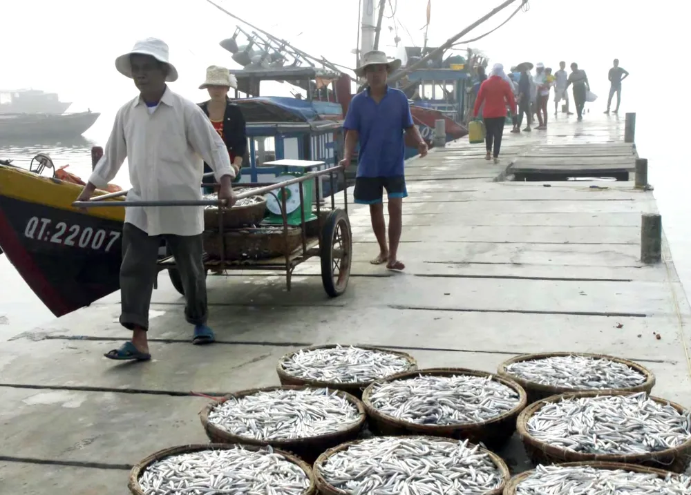 Lam con ca duoi-6.jpg