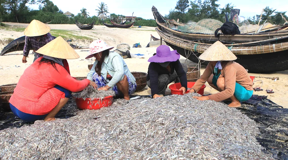 Lam con ca duoi-8.jpg