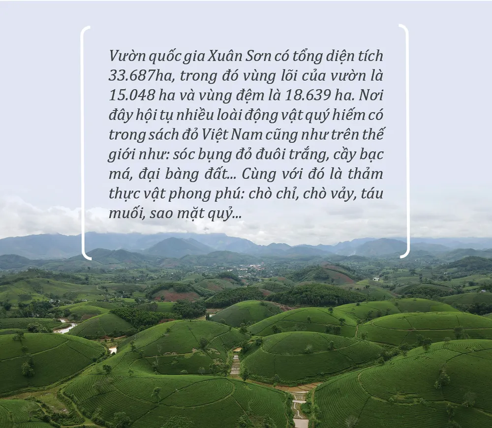 VQG Xuan Son-box.jpg