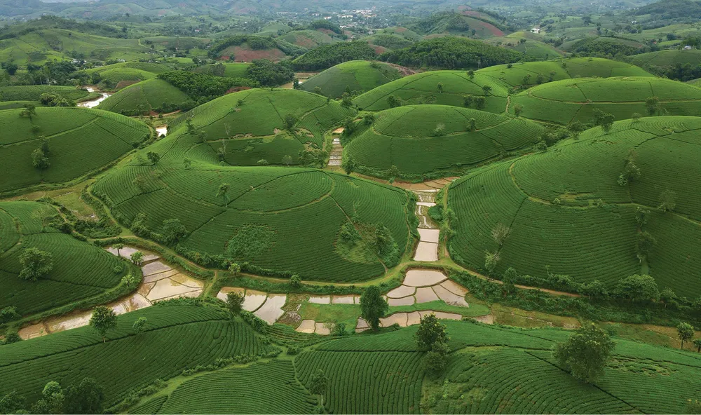 VQG Xuan Son-h-1.jpg