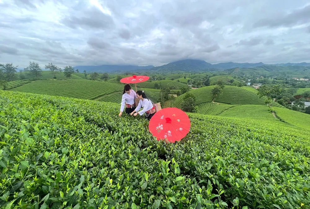 VQG Xuan Son-h-17.jpg