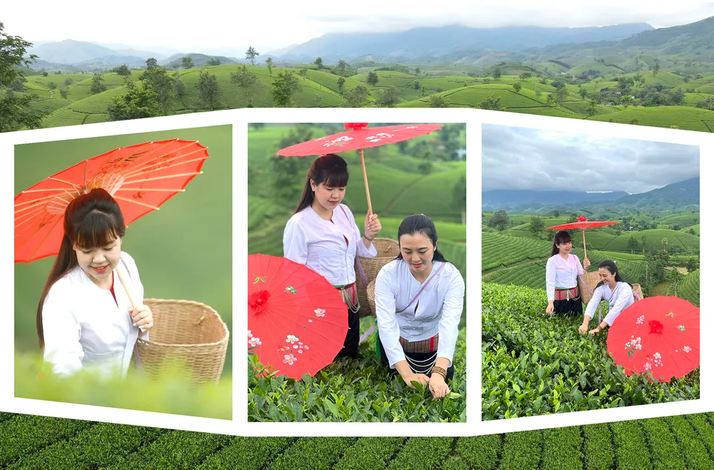 VQG Xuan Son-h-18.jpg