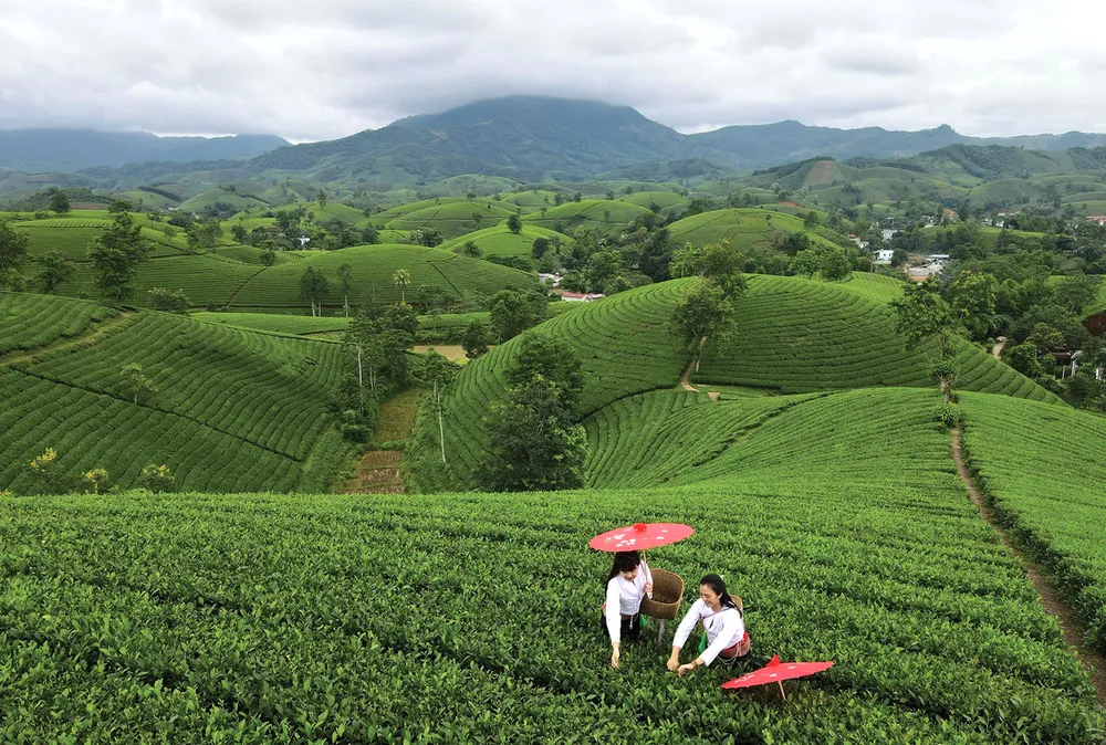 VQG Xuan Son-h-2.jpg