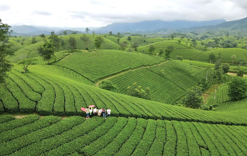 VQG Xuan Son-h-4.jpg