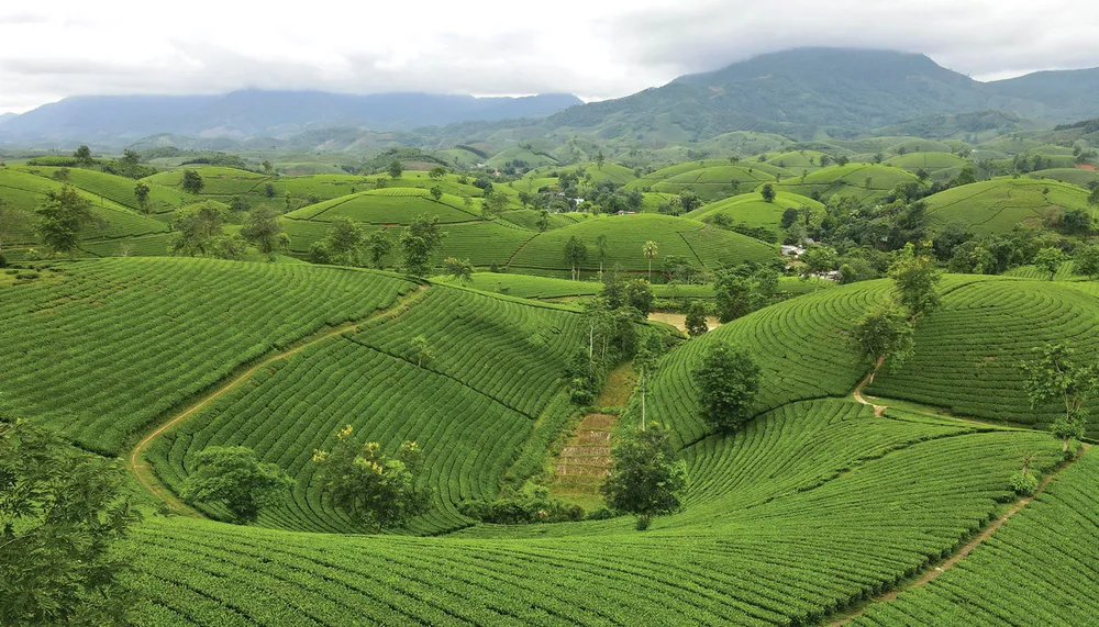 VQG Xuan Son-h-7.jpg