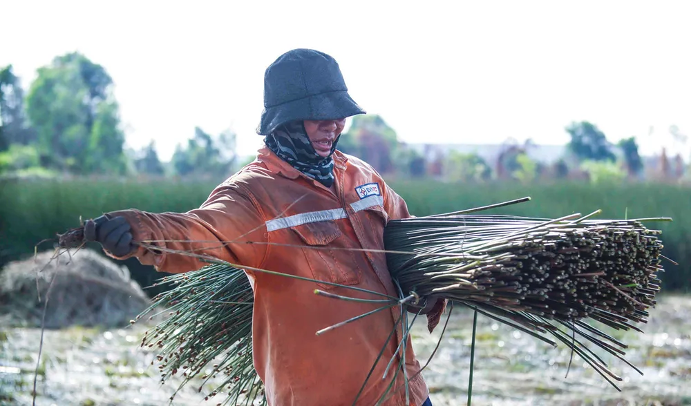 Ve dep cua co bang-10.jpg