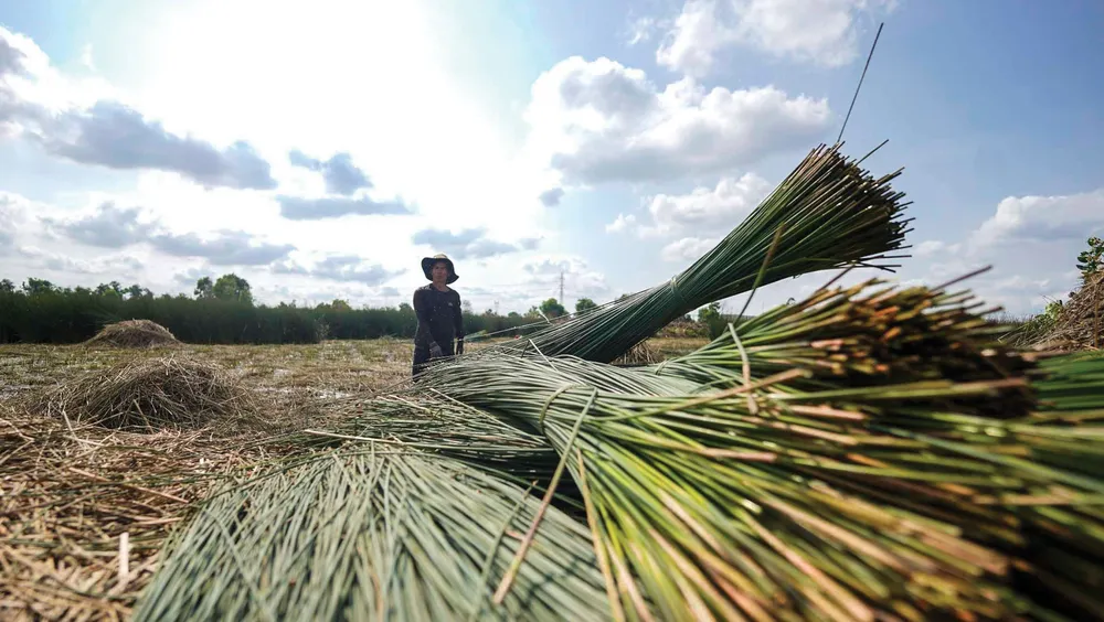 Ve dep cua co bang-11.jpg