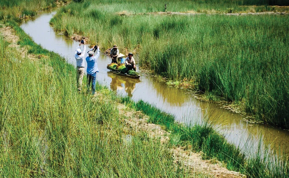 Ve dep cua co bang-3.jpg