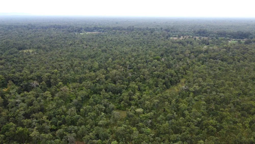 May bay Yak-130-26.jpg