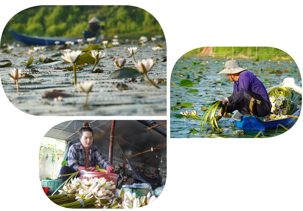 Nhip song mua nuoc noi-2.jpg