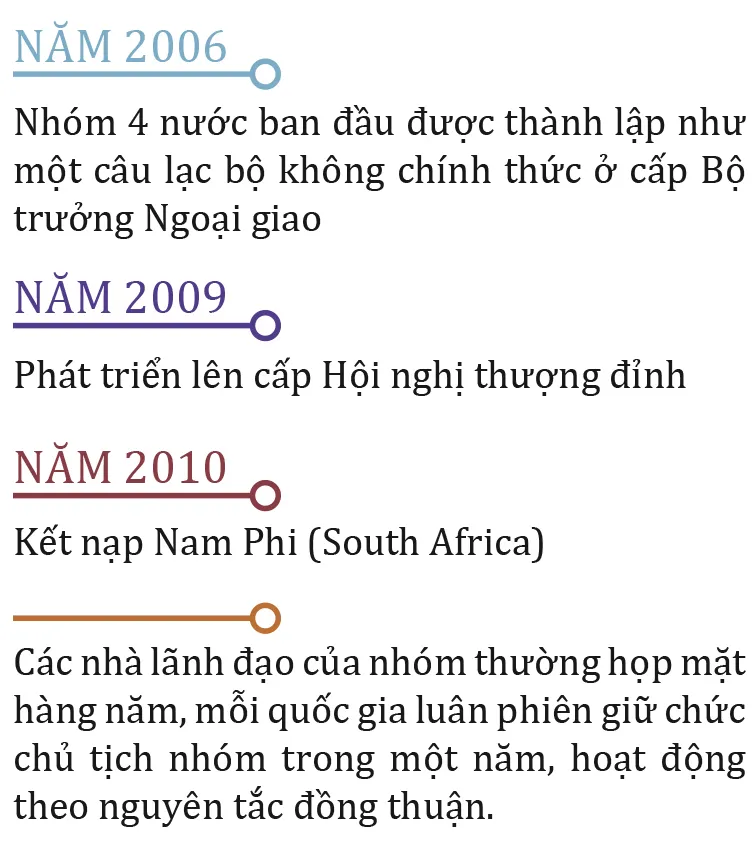 Viet Nam co tham gia nhom BRICS-2.jpg