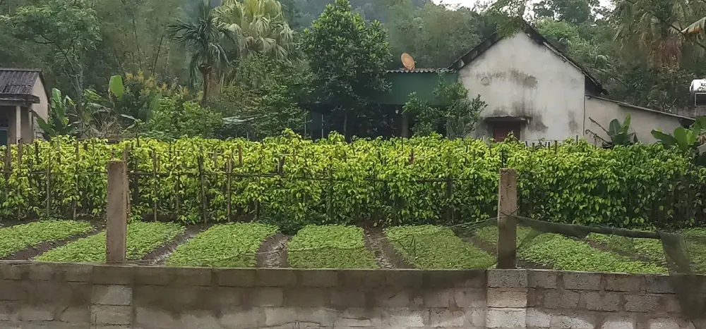 Lang trau tien vua-4.jpg