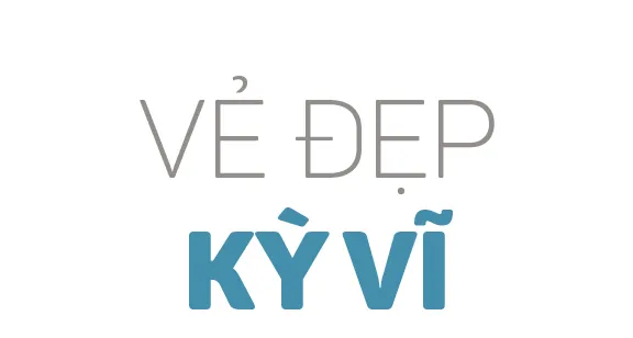 Xuan DTTC 88-89-stit-1.jpg