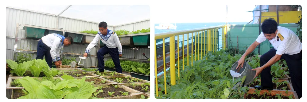 Xuan DTTC 70-71-5.jpg