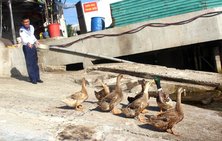 Xuan DTTC 70-71-6.jpg