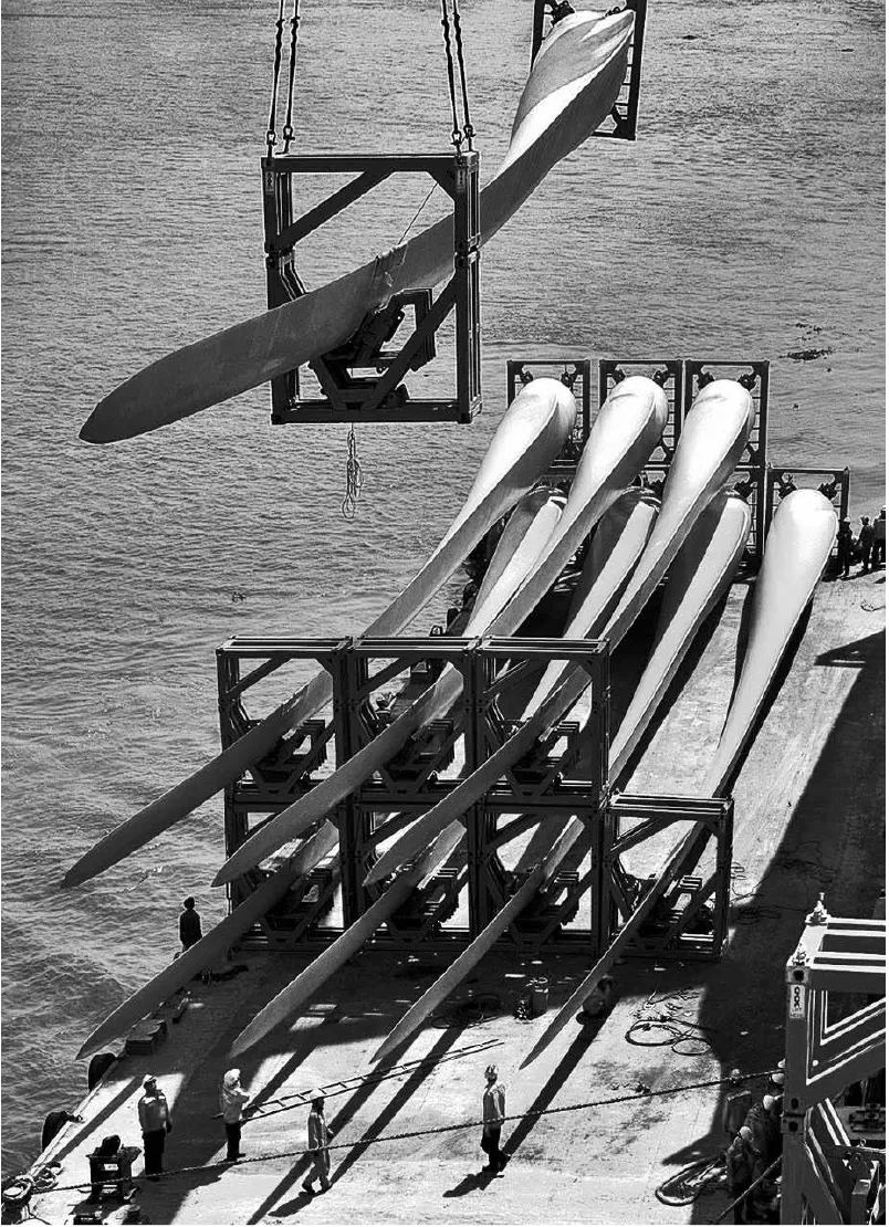 cuoc thi anh DNNH-de nhung buc anh truyen cam-2.jpg