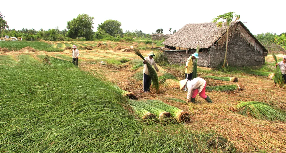 nghe lam chieu-4.jpg