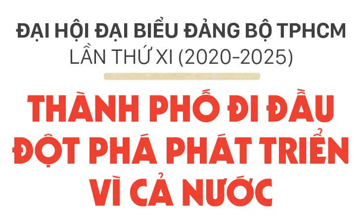 Dau an nhiem ky-1.jpg