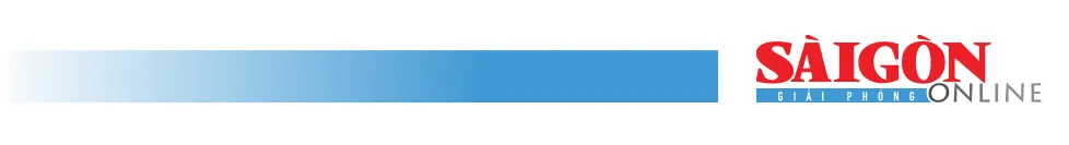 3 chuong trinh trong diem TPHCM-logo.jpg