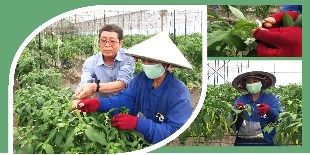 Nong nghiep do thi chuyen minh-1.jpg