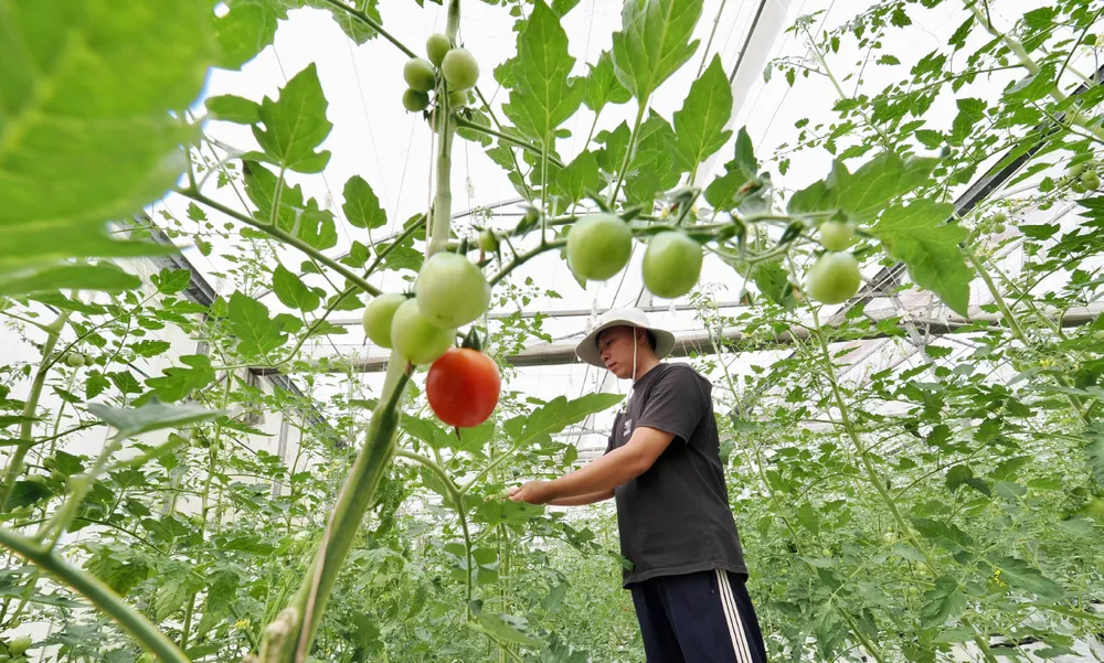 Nong nghiep do thi chuyen minh-12.jpg