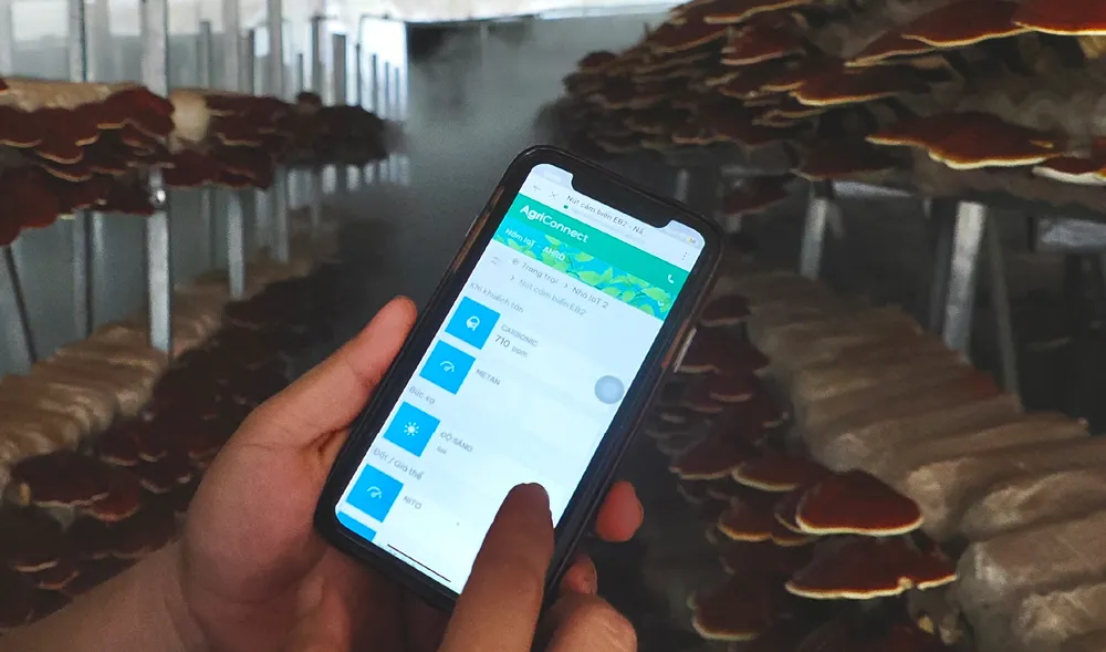 Nong nghiep do thi chuyen minh-14.jpg