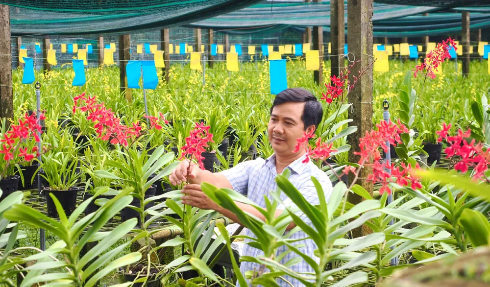 Nong nghiep do thi chuyen minh-16.jpg