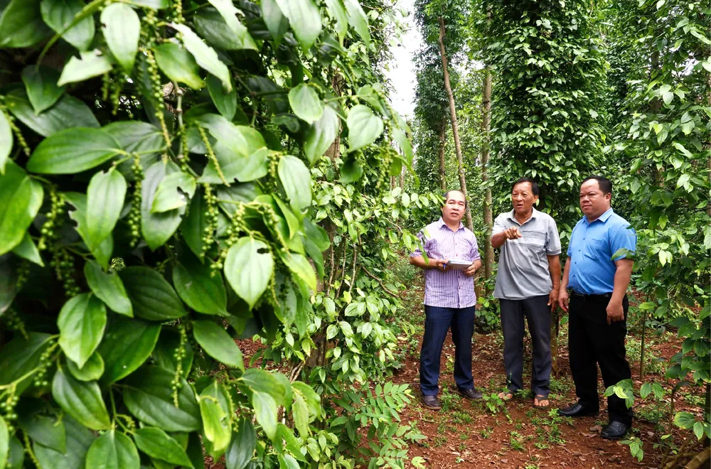 Nong nghiep do thi chuyen minh-18.jpg