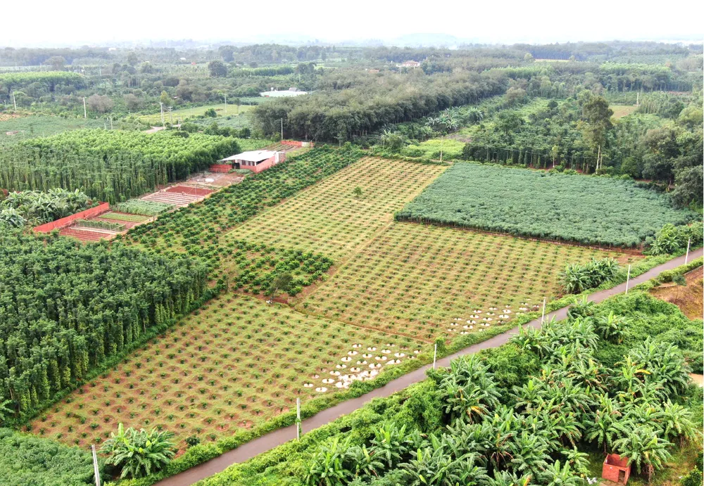 Nong nghiep do thi chuyen minh-20.jpg