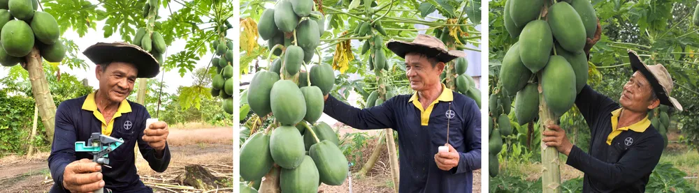 Nong nghiep do thi chuyen minh-21.jpg