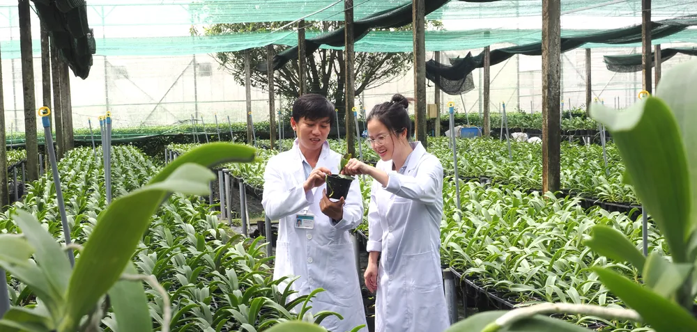 Nong nghiep do thi chuyen minh-9.jpg