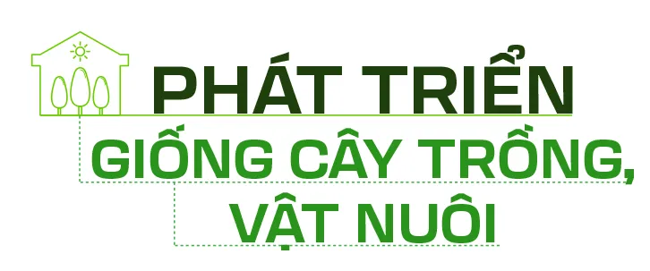 Nong nghiep do thi chuyen minh--sit-3.jpg