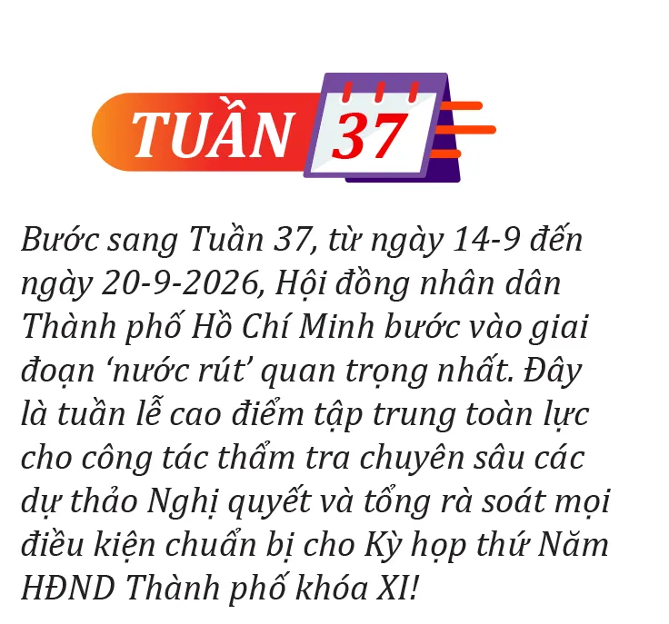 HDND tuan 36-37-tuan 37.jpg