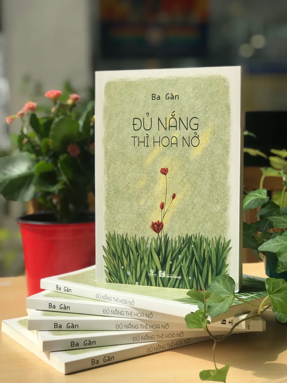 “Đủ nắng thì hoa nở” và hành trình đi tìm ý nghĩa cuộc đời  ảnh 1