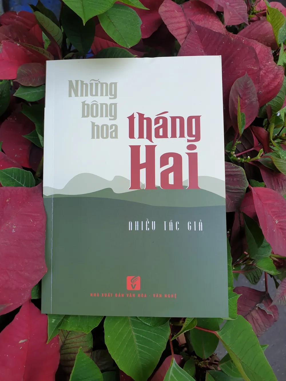 “Những bông hoa tháng Hai”: Cuốn sách nhắc nhớ về Cuộc chiến tranh biên giới phía Bắc ảnh 1