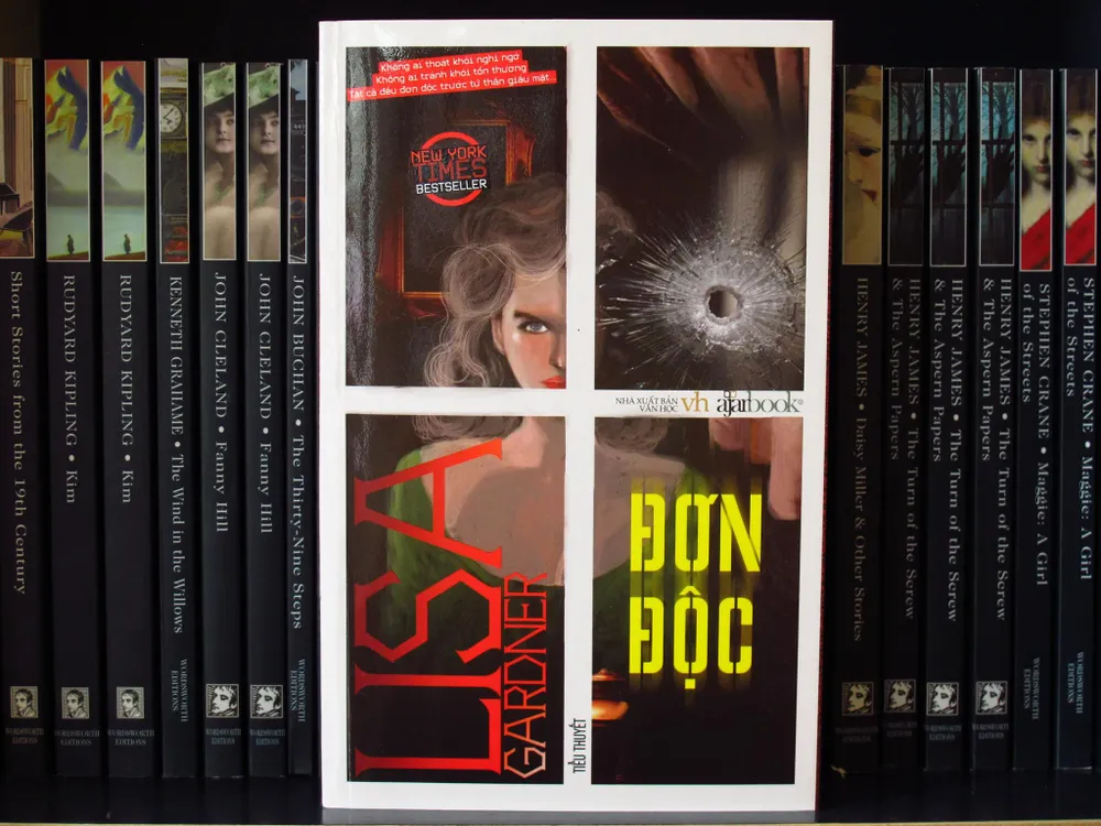 Những tác phẩm ly kỳ của nữ tác giả trinh thám Lisa Gardner  ảnh 3