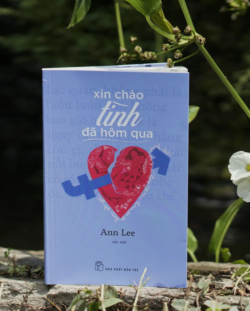 Những quyển sách giúp thư thái tâm hồn nhân ngày Quốc tế phụ nữ  ảnh 1