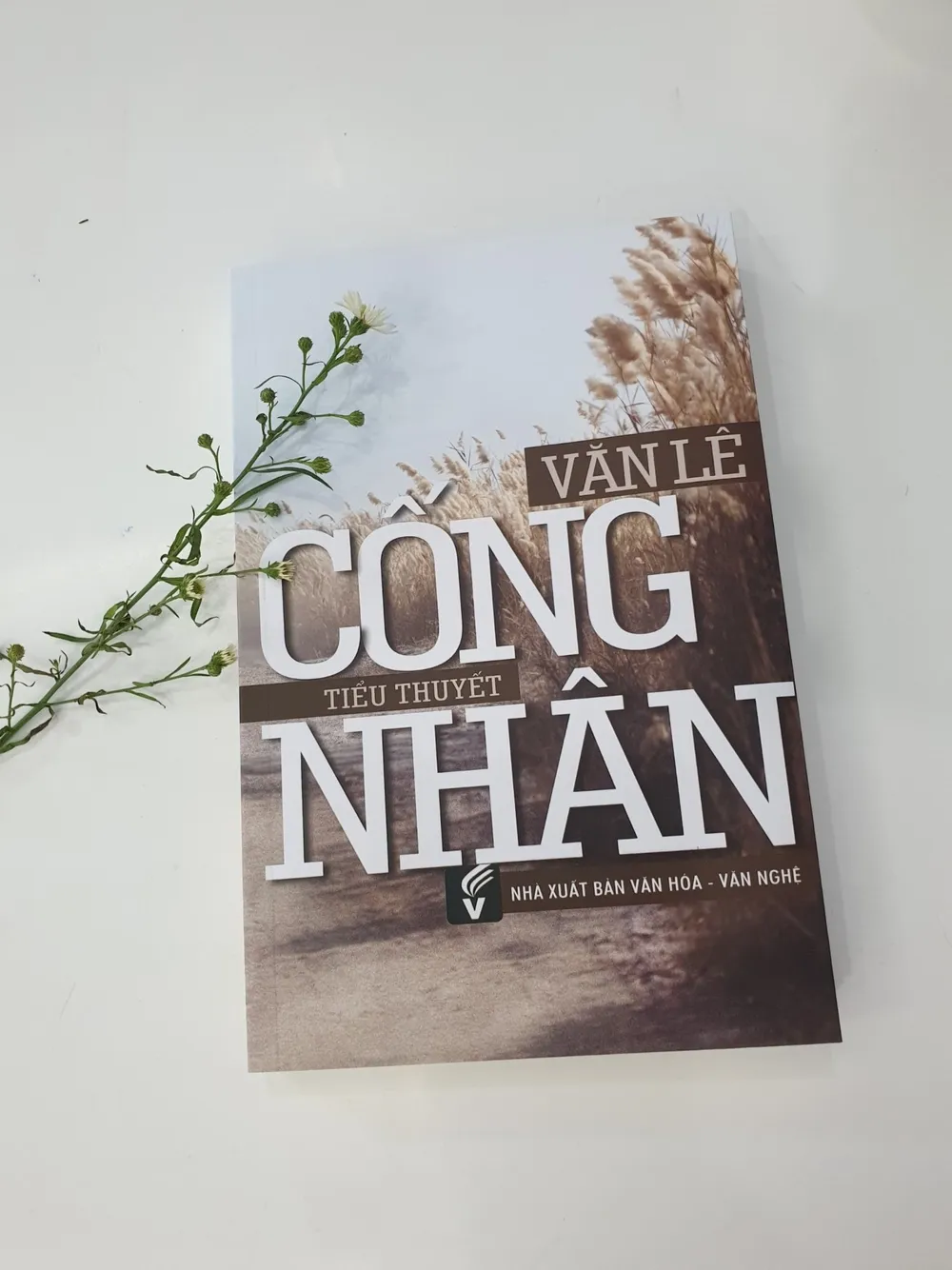 Nhà văn Văn Lê qua đời, hưởng thọ 72 tuổi  ảnh 2