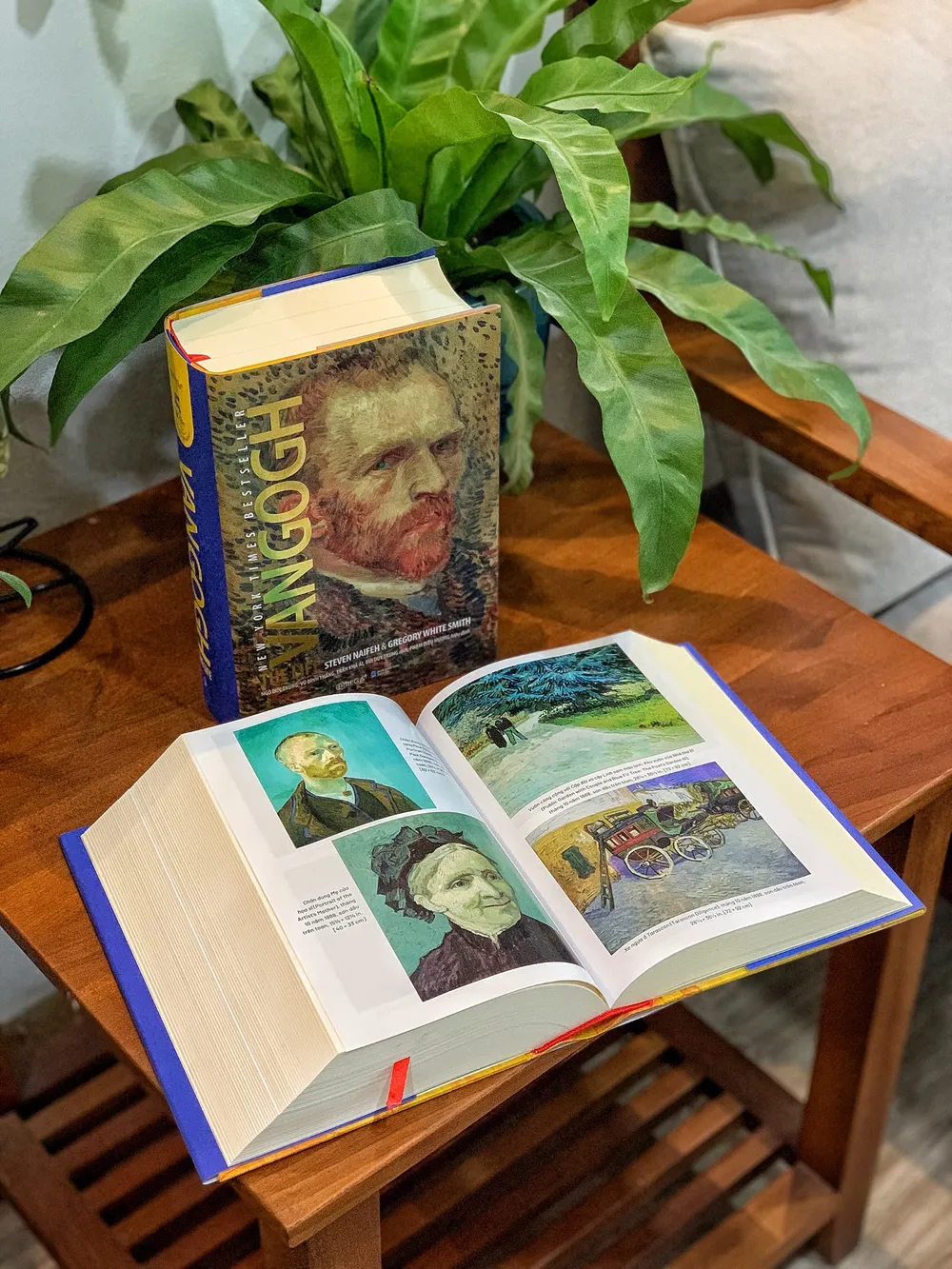 Cuốn sách “Van Gogh The Life”: Vén màn những bí ẩn về cuộc đời Van Gogh ảnh 2