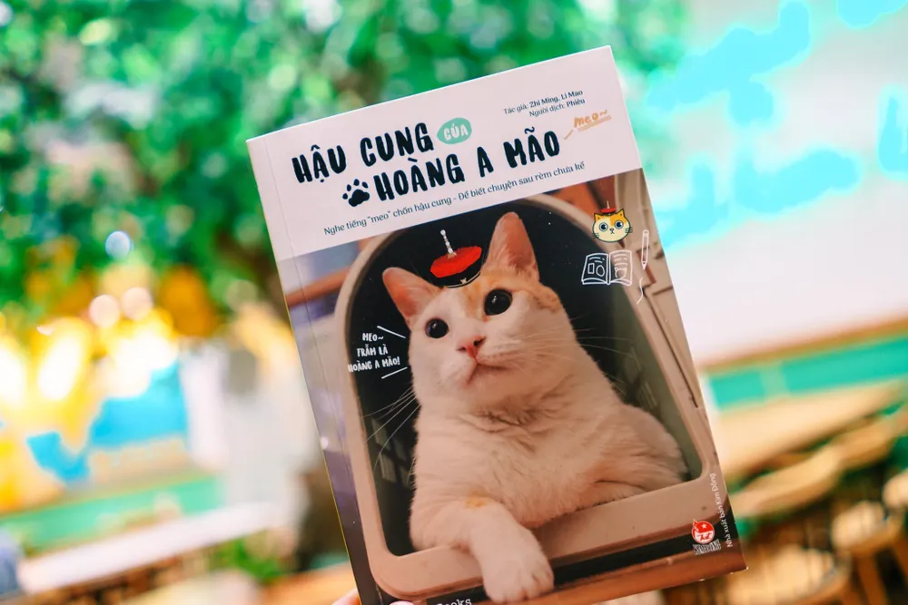 Hậu cung của Hoàng A Mão kể về những chú mèo nổi tiếng tại Đài Loan với hơn 1 triệu người thường xuyên theo dõi