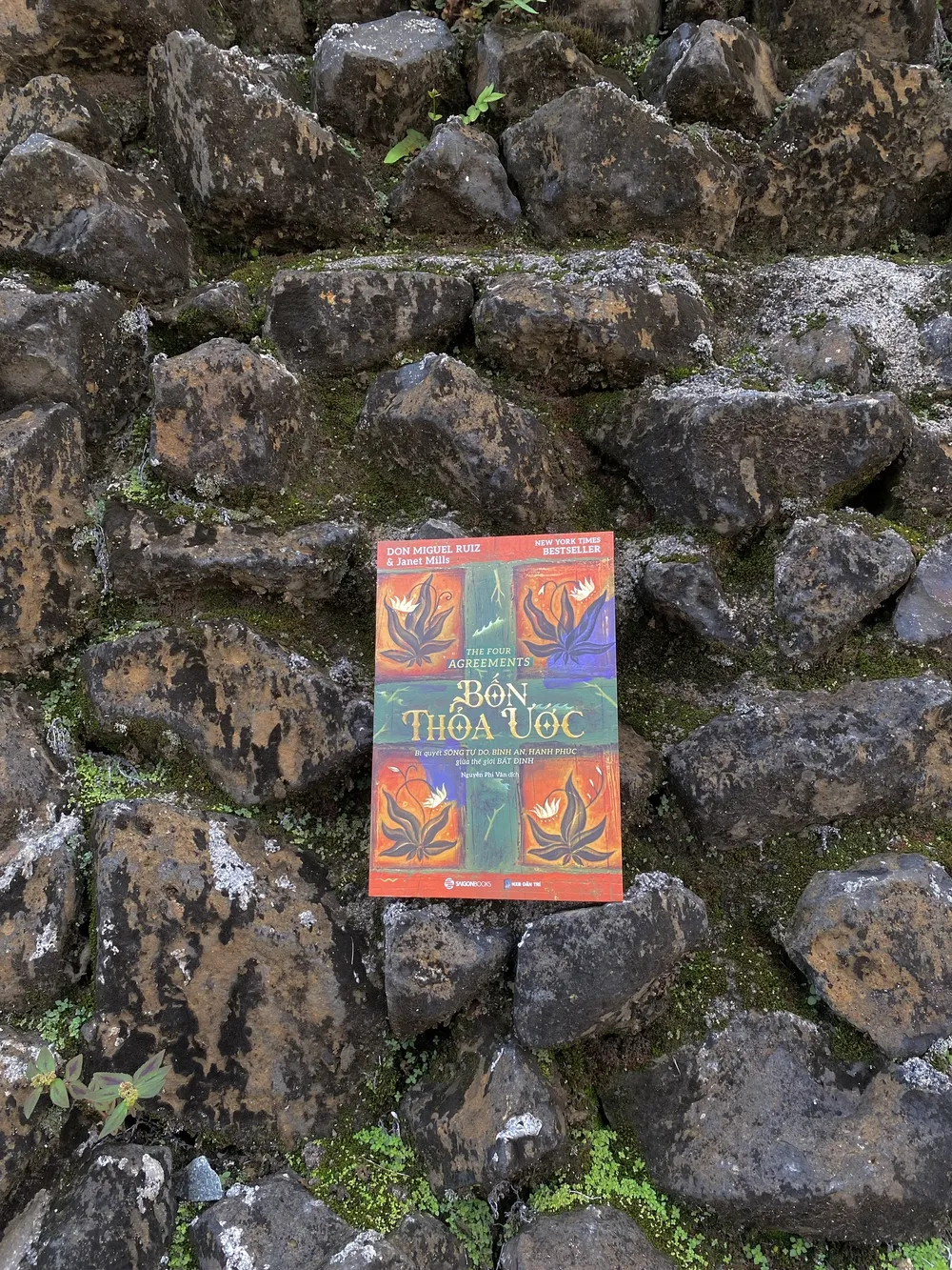 Dựa trên triết lý của Toltec cổ xưa, "Bốn thỏa ước" đưa ra một quy tắc ứng xử mạnh mẽ có thể nhanh chóng biến cuộc sống của chúng ta sang một trải nghiệm mới về tự do, hạnh phúc thực sự và tình yêu