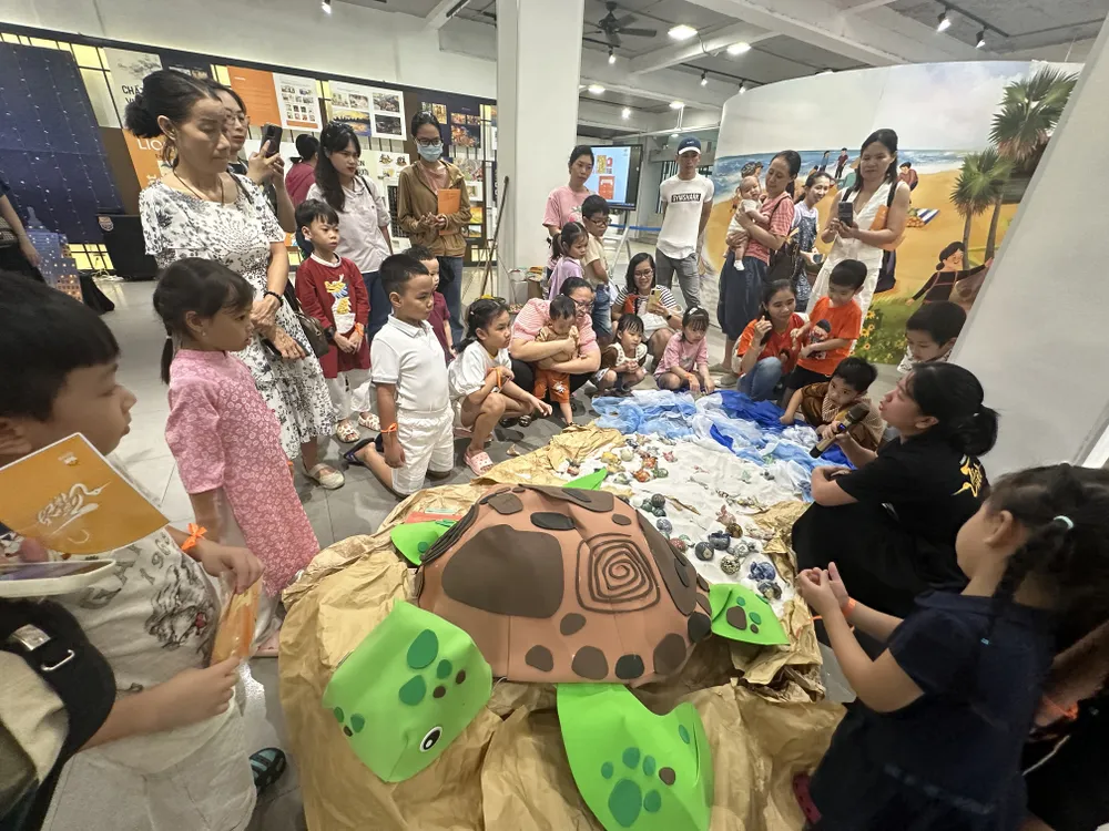 Các em nhỏ cùng tìm hiểu về hành trình sinh nở của rùa biển
