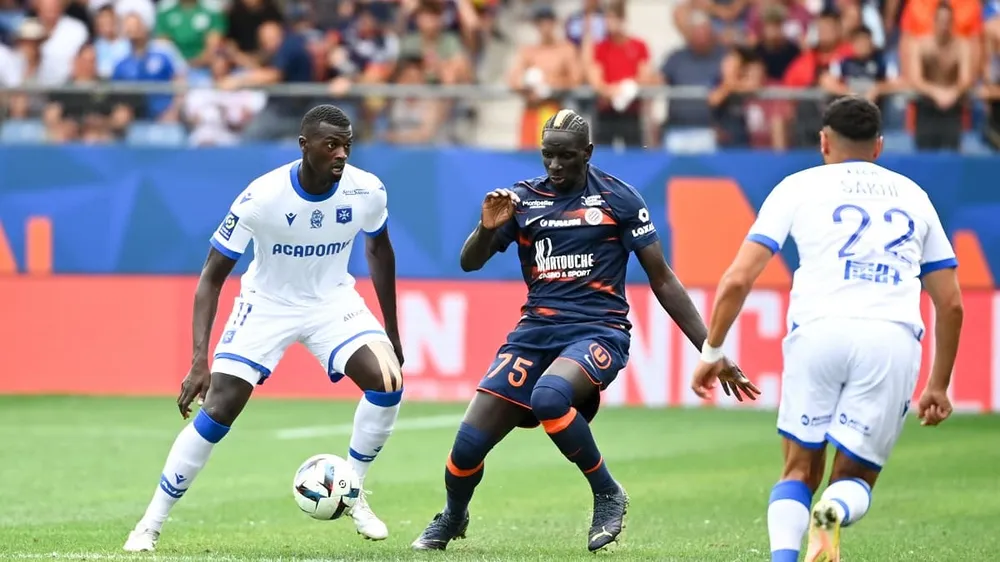 Vòng đấu 'bạo lực' nhất lịch sử Ligue 1 ảnh 1